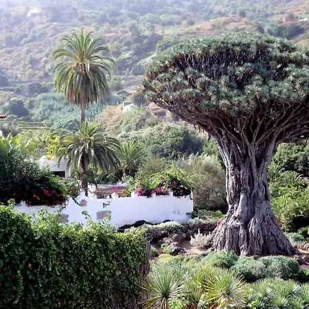 Casa Ackermann Διαμέρισμα Icod De Los Vinos